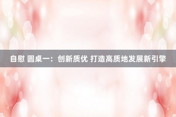 自慰 圆桌一：创新质优 打造高质地发展新引擎
