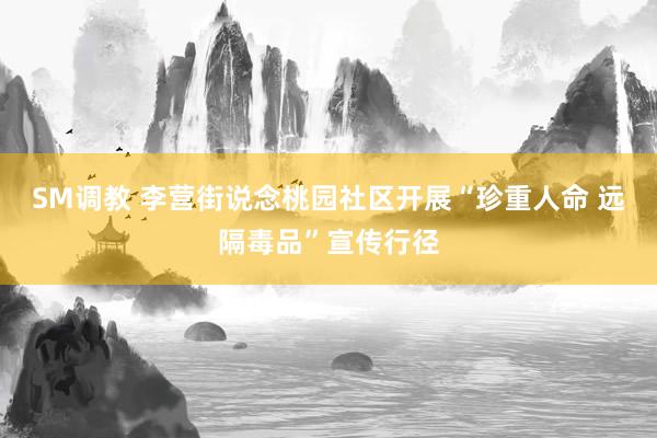 SM调教 李营街说念桃园社区开展“珍重人命 远隔毒品”宣传行径