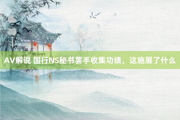 AV解说 国行NS秘书罢手收集功绩，这施展了什么