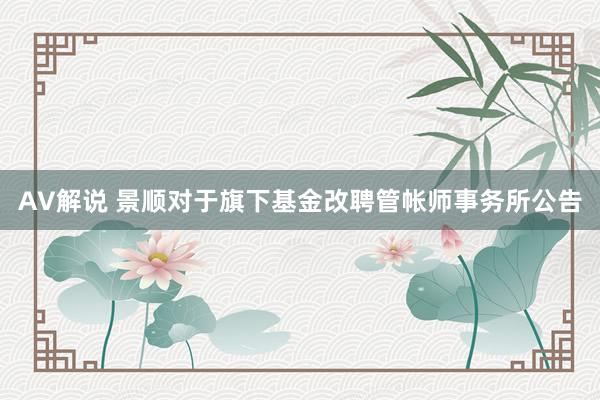 AV解说 景顺对于旗下基金改聘管帐师事务所公告