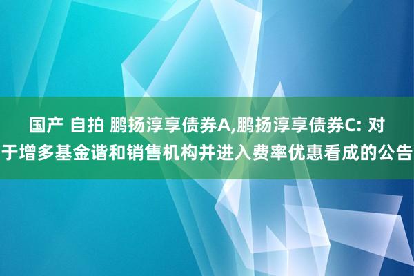 国产 自拍 鹏扬淳享债券A,鹏扬淳享债券C: 对于增多基金谐和销售机构并进入费率优惠看成的公告