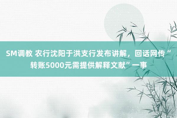 SM调教 农行沈阳于洪支行发布讲解，回话网传“转账5000元需提供解释文献”一事