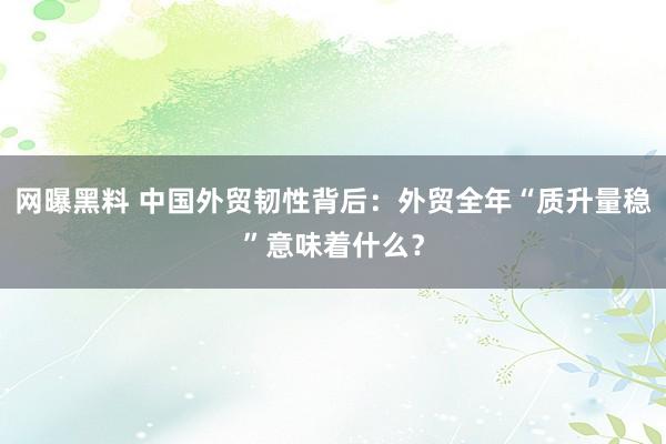 网曝黑料 中国外贸韧性背后：外贸全年“质升量稳”意味着什么？