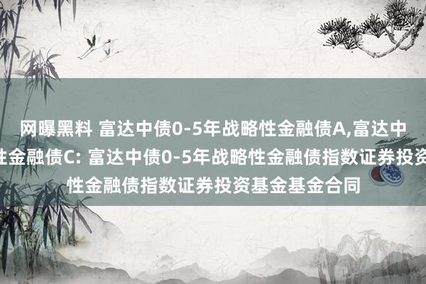 网曝黑料 富达中债0-5年战略性金融债A,富达中债0-5年战略性金融债C: 富达中债0-5年战略性金融债指数证券投资基金基金合同