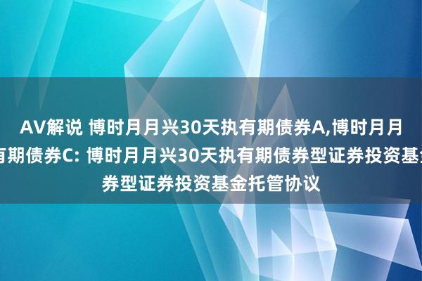 AV解说 博时月月兴30天执有期债券A,博时月月兴30天执有期债券C: 博时月月兴30天执有期债券型证券投资基金托管协议