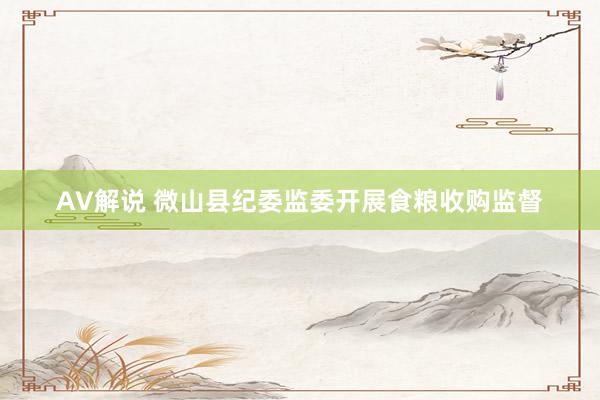 AV解说 微山县纪委监委开展食粮收购监督