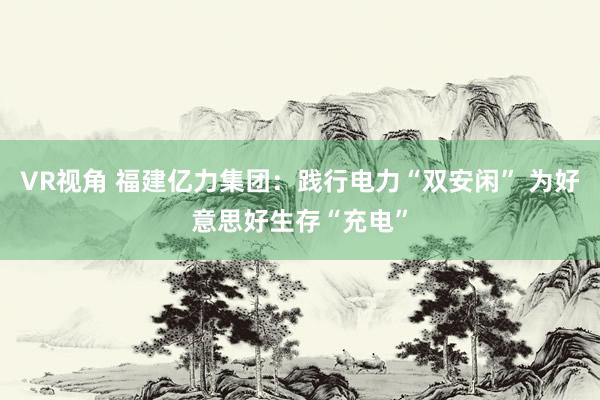 VR视角 福建亿力集团：践行电力“双安闲” 为好意思好生存“充电”