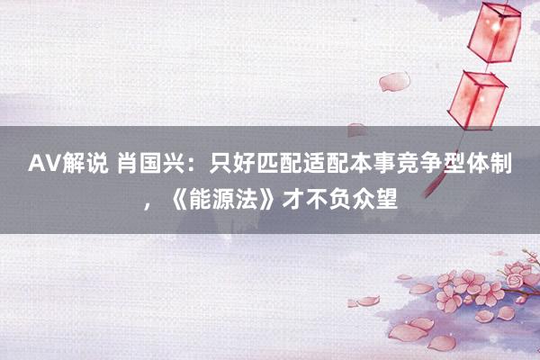 AV解说 肖国兴：只好匹配适配本事竞争型体制，《能源法》才不负众望