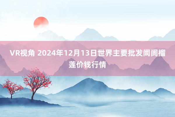 VR视角 2024年12月13日世界主要批发阛阓榴莲价钱行情