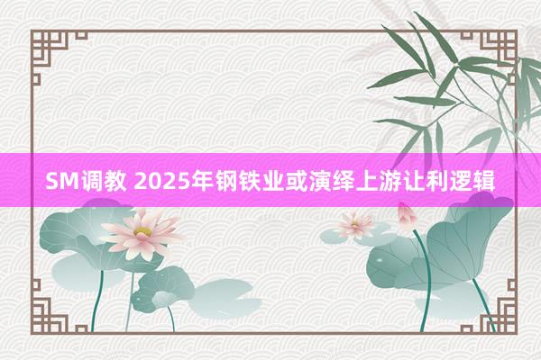 SM调教 2025年钢铁业或演绎上游让利逻辑