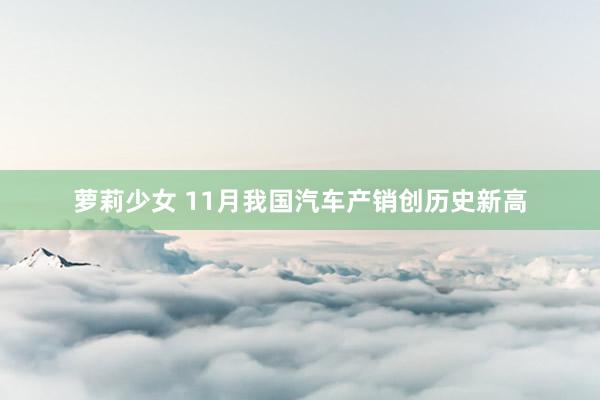萝莉少女 11月我国汽车产销创历史新高