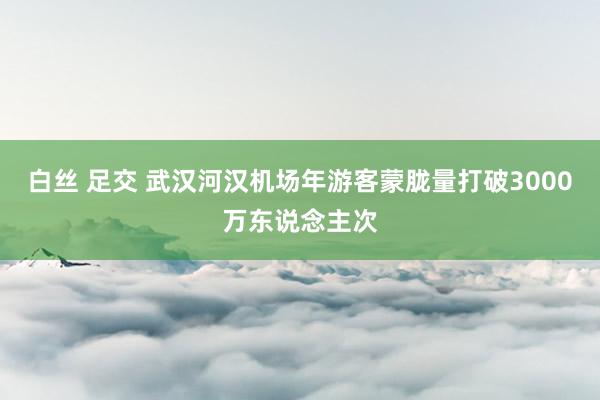 白丝 足交 武汉河汉机场年游客蒙胧量打破3000万东说念主次