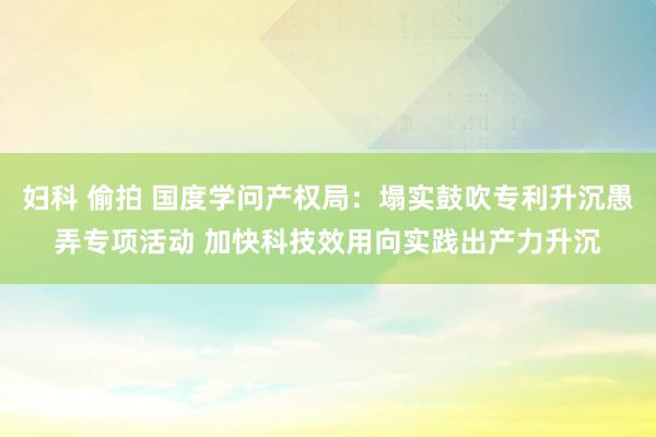 妇科 偷拍 国度学问产权局：塌实鼓吹专利升沉愚弄专项活动 加快科技效用向实践出产力升沉