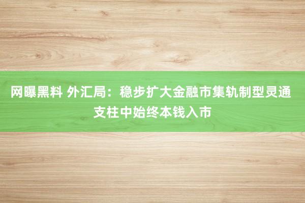 网曝黑料 外汇局：稳步扩大金融市集轨制型灵通 支柱中始终本钱入市