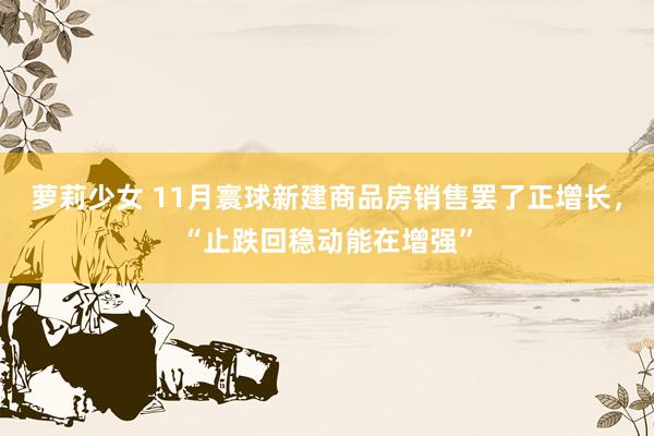萝莉少女 11月寰球新建商品房销售罢了正增长，“止跌回稳动能在增强”