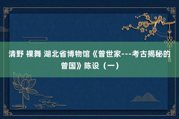 清野 裸舞 湖北省博物馆《曾世家---考古揭秘的曾国》陈设（一）