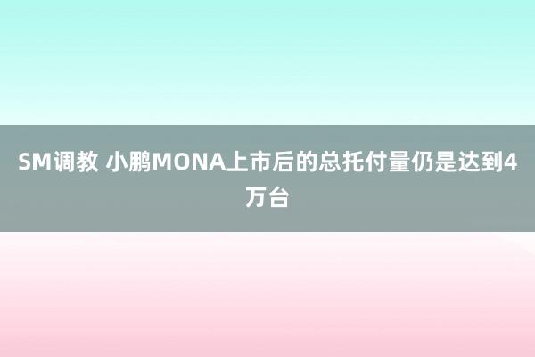 SM调教 小鹏MONA上市后的总托付量仍是达到4万台