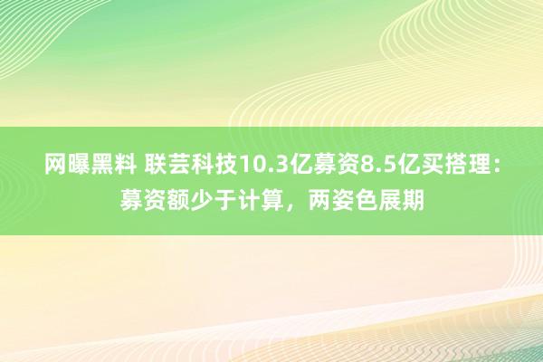 网曝黑料 联芸科技10.3亿募资8.5亿买搭理：募资额少于计算，两姿色展期