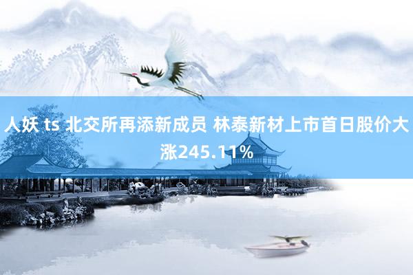 人妖 ts 北交所再添新成员 林泰新材上市首日股价大涨245.11%