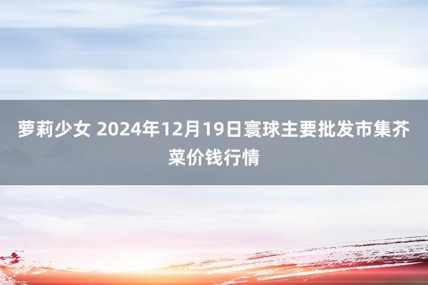 萝莉少女 2024年12月19日寰球主要批发市集芥菜价钱行情