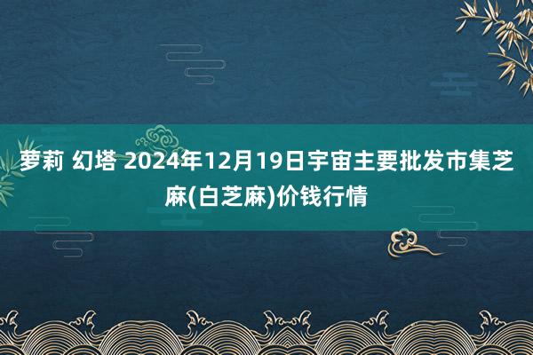 萝莉 幻塔 2024年12月19日宇宙主要批发市集芝麻(白芝麻)价钱行情