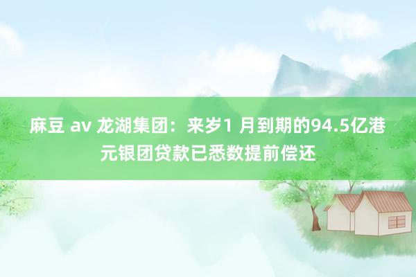 麻豆 av 龙湖集团：来岁1 月到期的94.5亿港元银团贷款已悉数提前偿还