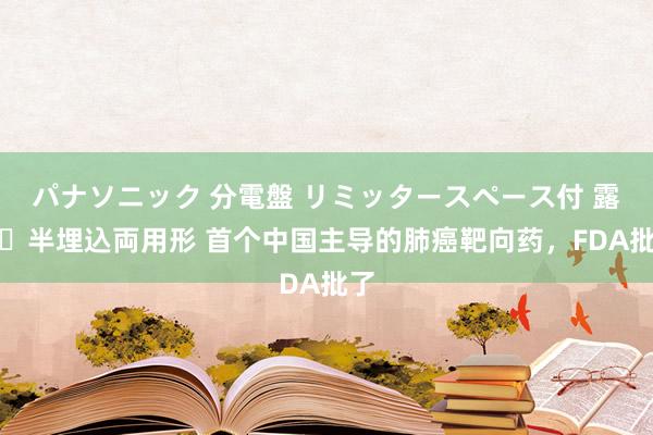 パナソニック 分電盤 リミッタースペース付 露出・半埋込両用形 首个中国主导的肺癌靶向药，FDA批了