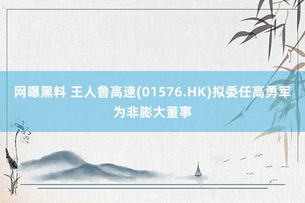 网曝黑料 王人鲁高速(01576.HK)拟委任高勇军为非膨大董事