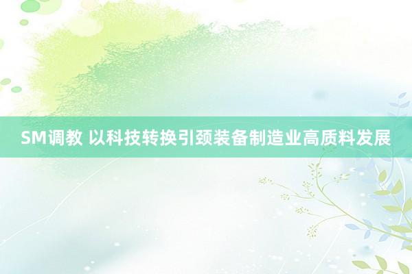 SM调教 以科技转换引颈装备制造业高质料发展