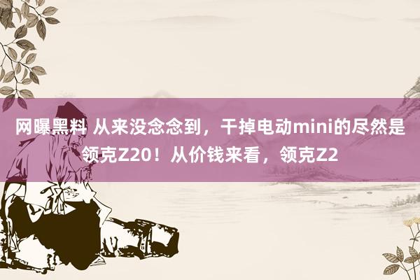 网曝黑料 从来没念念到，干掉电动mini的尽然是领克Z20！从价钱来看，领克Z2