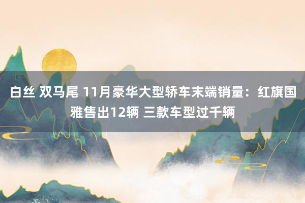 白丝 双马尾 11月豪华大型轿车末端销量：红旗国雅售出12辆 三款车型过千辆