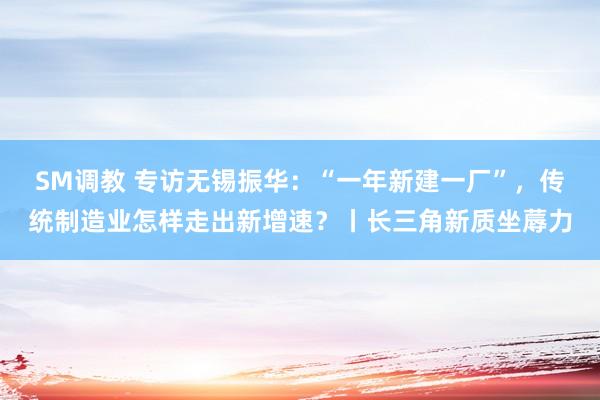SM调教 专访无锡振华：“一年新建一厂”，传统制造业怎样走出新增速？丨长三角新质坐蓐力
