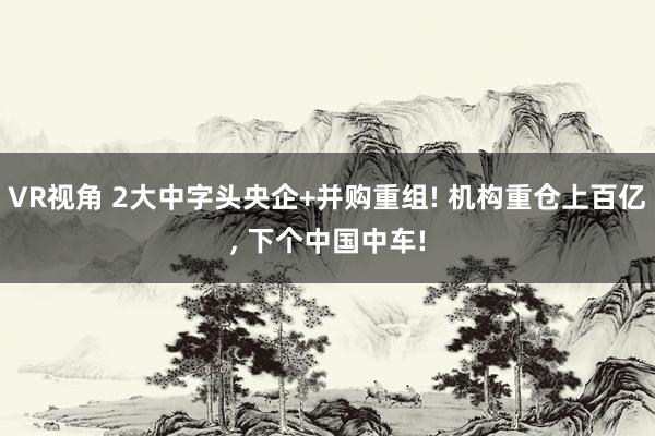 VR视角 2大中字头央企+并购重组! 机构重仓上百亿， 下个中国中车!