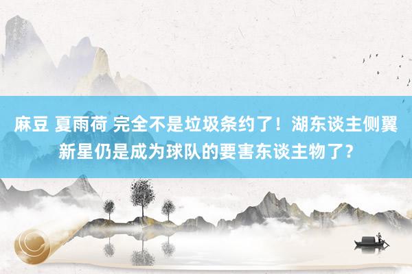 麻豆 夏雨荷 完全不是垃圾条约了！湖东谈主侧翼新星仍是成为球队的要害东谈主物了？