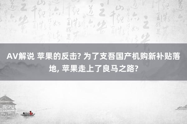 AV解说 苹果的反击? 为了支吾国产机购新补贴落地， 苹果走上了良马之路?