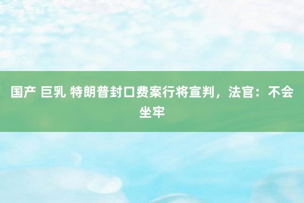 国产 巨乳 特朗普封口费案行将宣判，法官：不会坐牢