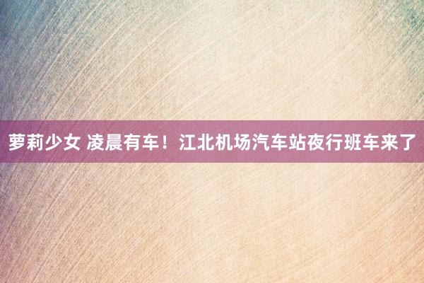 萝莉少女 凌晨有车！江北机场汽车站夜行班车来了