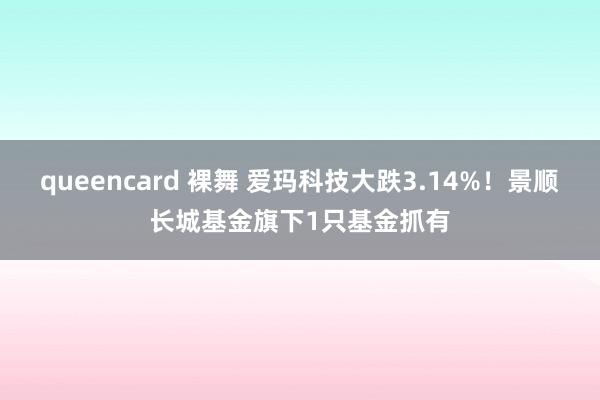 queencard 裸舞 爱玛科技大跌3.14%！景顺长城基金旗下1只基金抓有