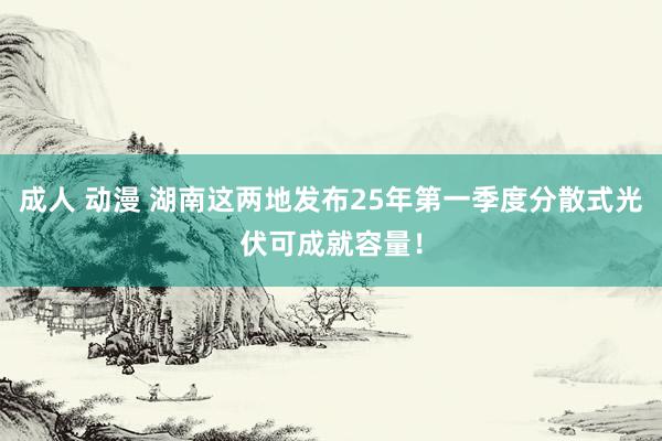 成人 动漫 湖南这两地发布25年第一季度分散式光伏可成就容量！