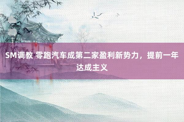SM调教 零跑汽车成第二家盈利新势力，提前一年达成主义