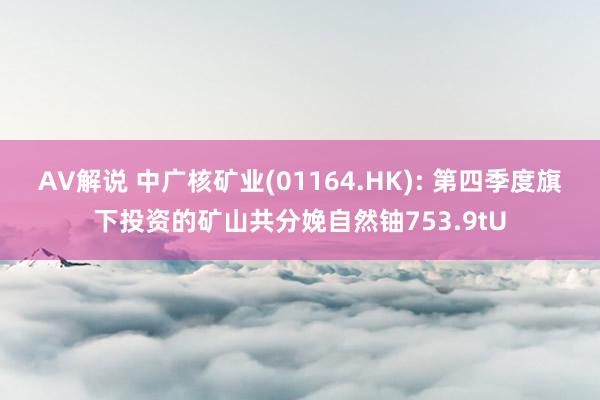 AV解说 中广核矿业(01164.HK): 第四季度旗下投资的矿山共分娩自然铀753.9tU