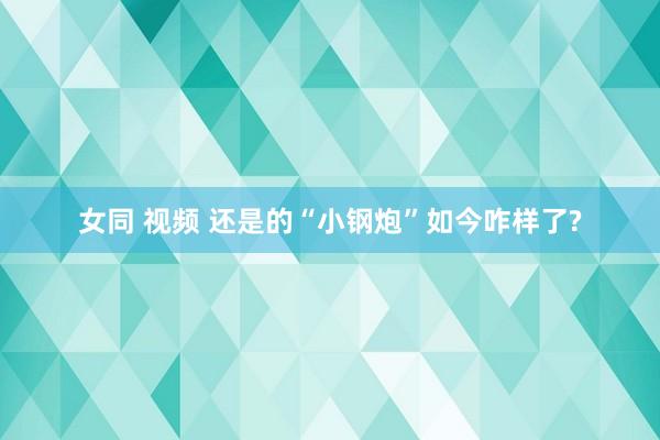 女同 视频 还是的“小钢炮”如今咋样了?