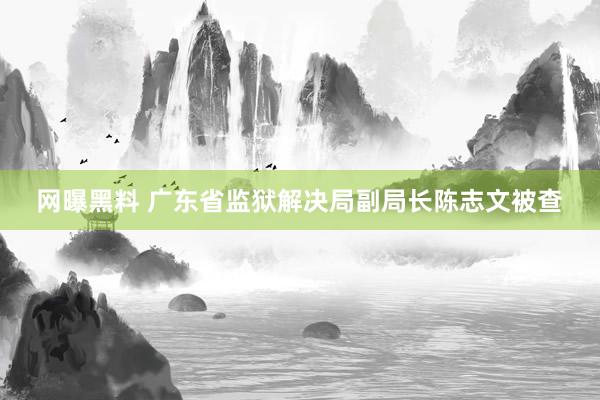 网曝黑料 广东省监狱解决局副局长陈志文被查
