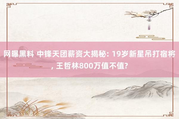 网曝黑料 中锋天团薪资大揭秘: 19岁新星吊打宿将， 王哲林800万值不值?