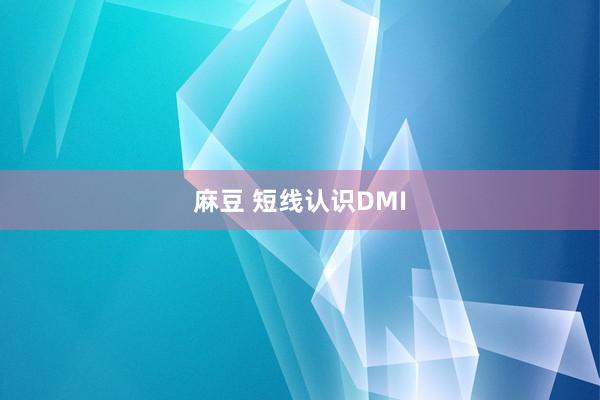 麻豆 短线认识DMI
