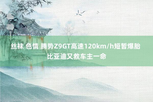 丝袜 色情 腾势Z9GT高速120km/h短暂爆胎 比亚迪又救车主一命